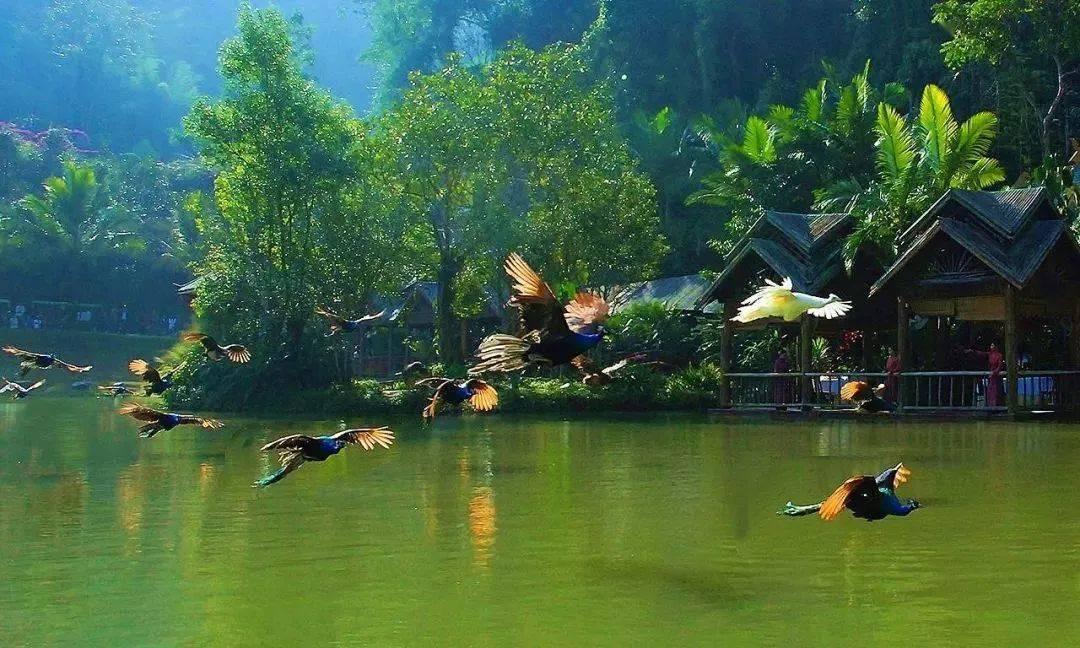 小红帽的冒险之旅