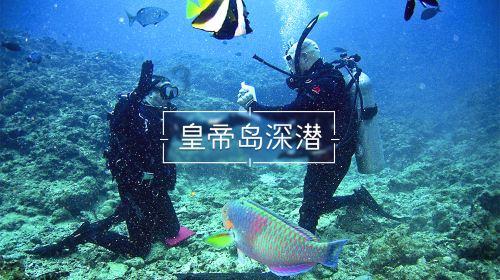 走进伊朗,了解伊朗