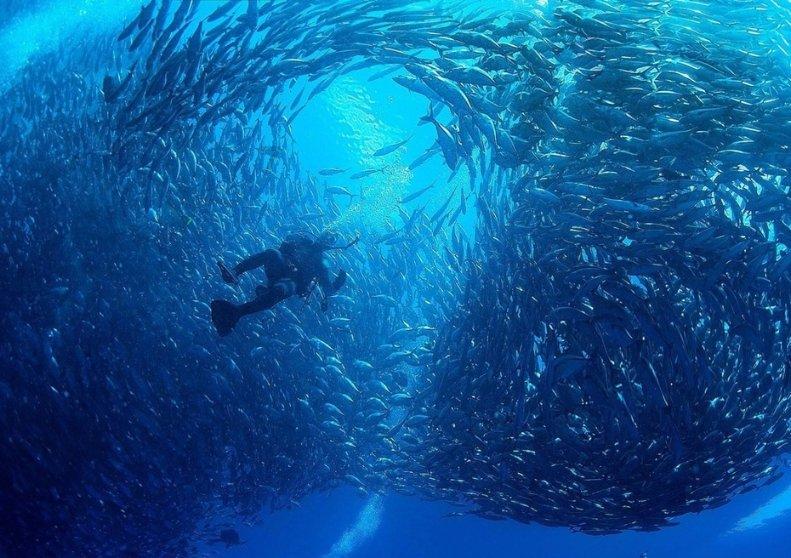河谷冒险逃生