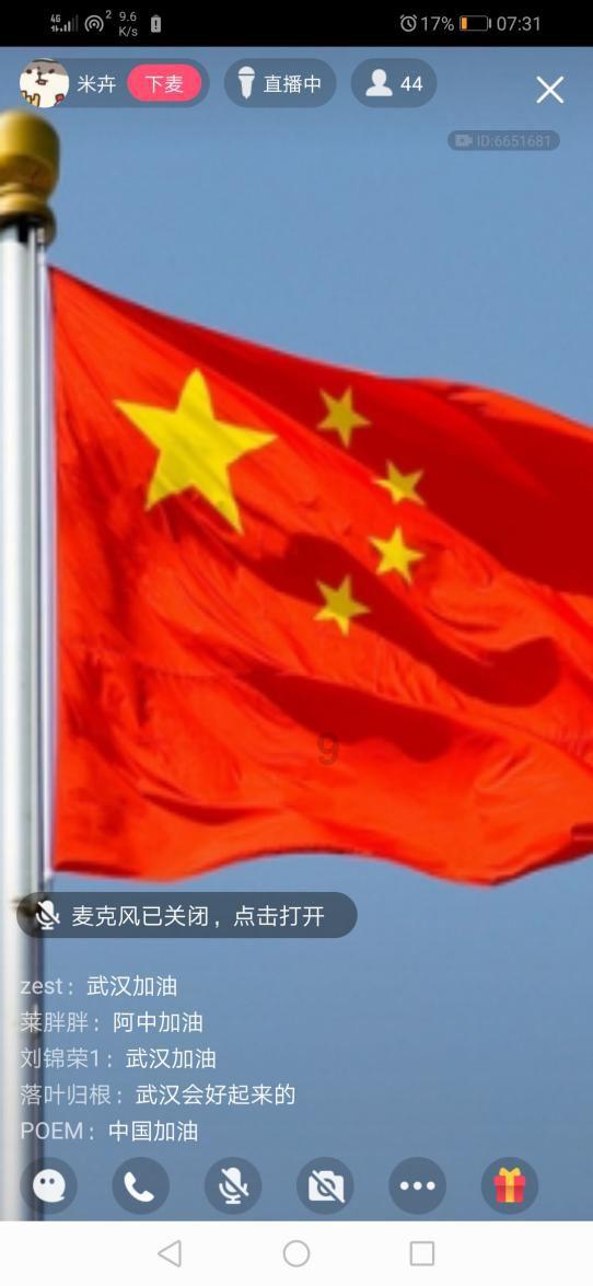 逃离金刚鹦鹉森林