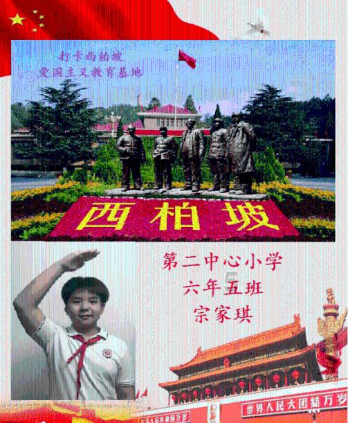 小猫钓鱼开船版最新版下载
