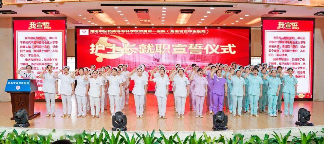 口袋森林世界杯防守战