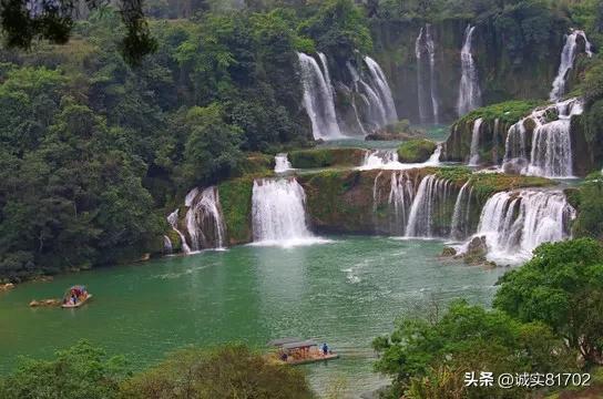 动物帮帮忙保卫家园