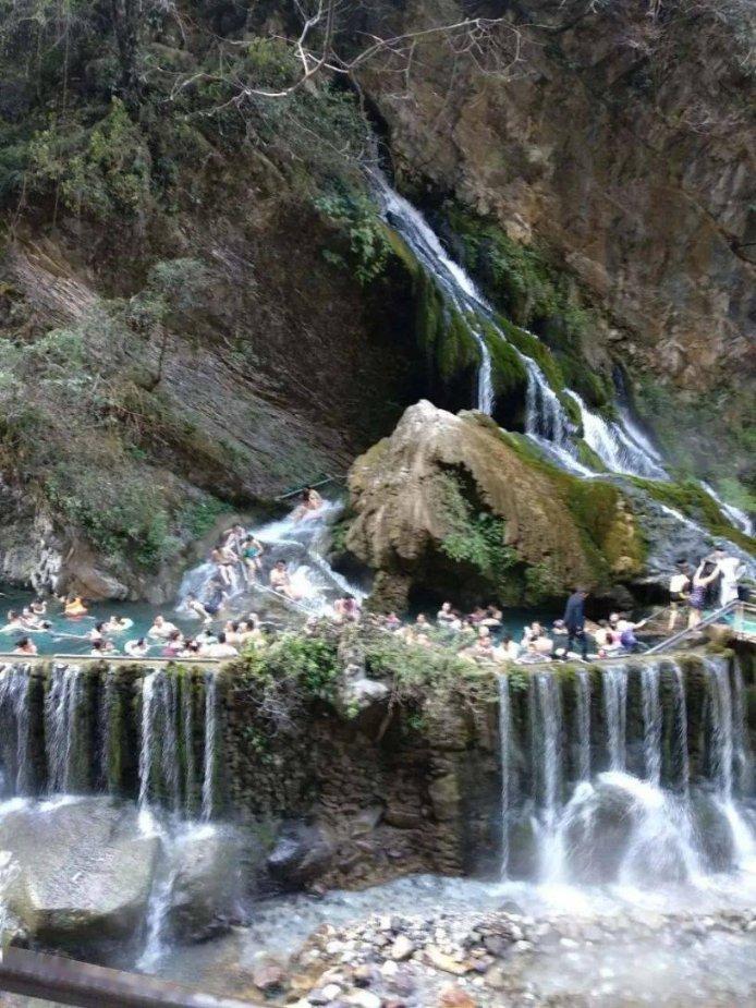 历经9天，2024年首趟木薯专列抵津