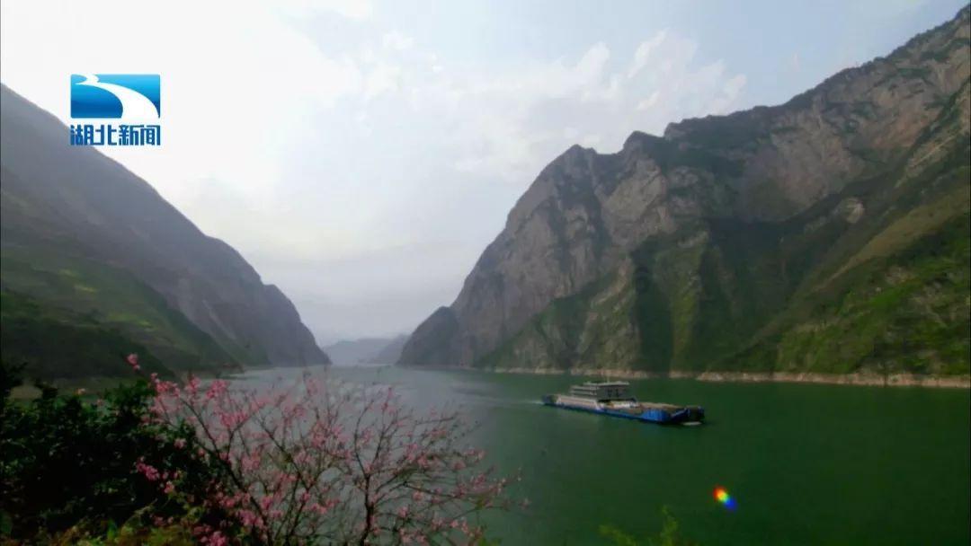逃离绿色山谷