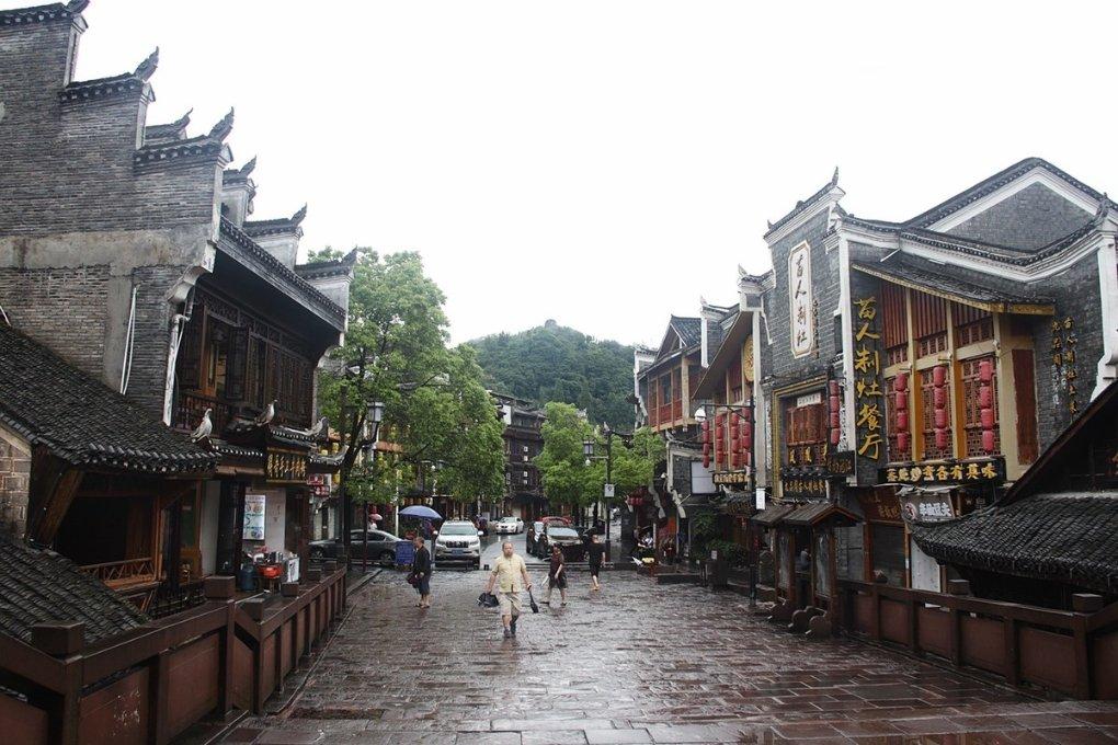拯救昆虫群