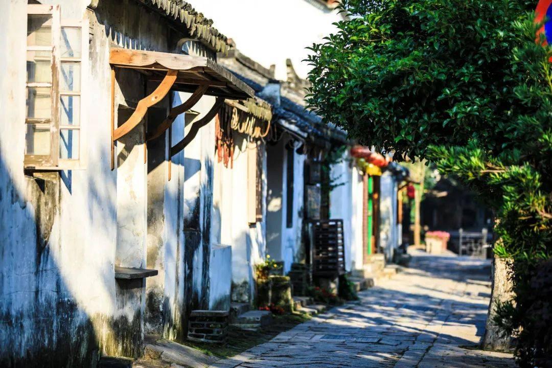 怎样做姜汤最好?,尽享知识互动乐趣