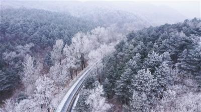 明日之后围剿特殊变异体的矿坑直升机在哪啊游戏画面